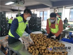 团市委29日起紧急招募了200多位青年志愿者走进永辉、朴朴等民生超市帮忙包装
